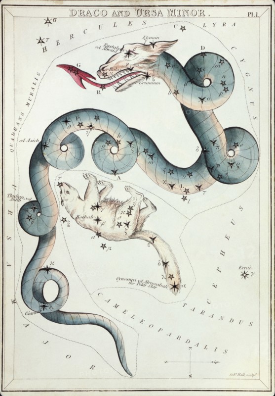 Draco and Ursa Minor