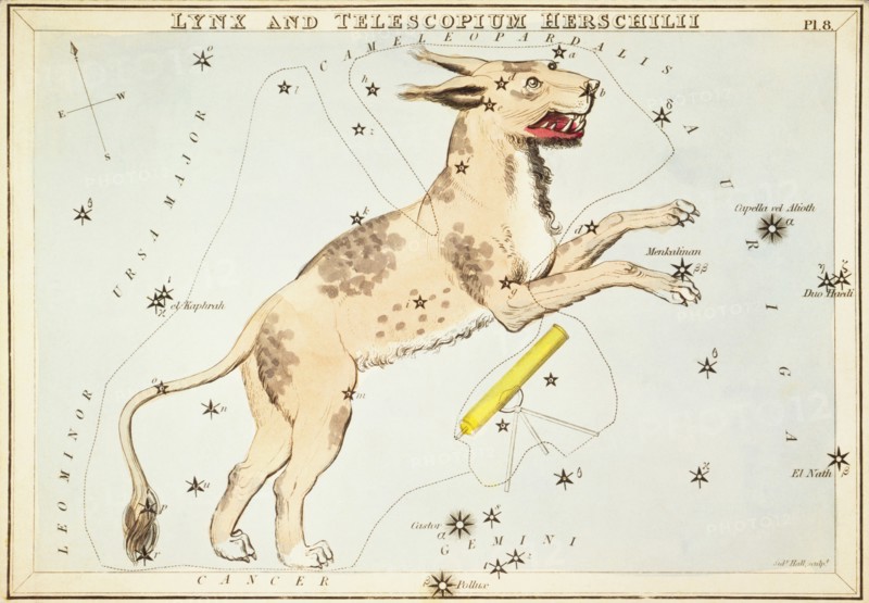 Lynx and Telescopium Herschilii