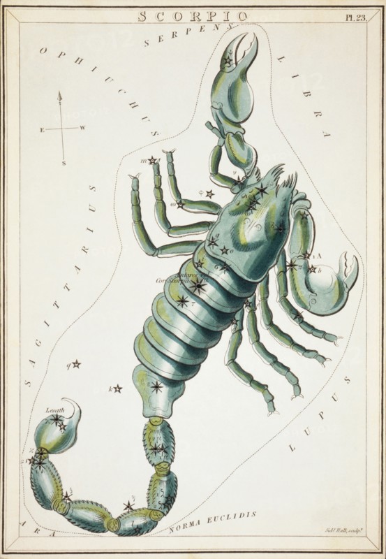 Scorpio