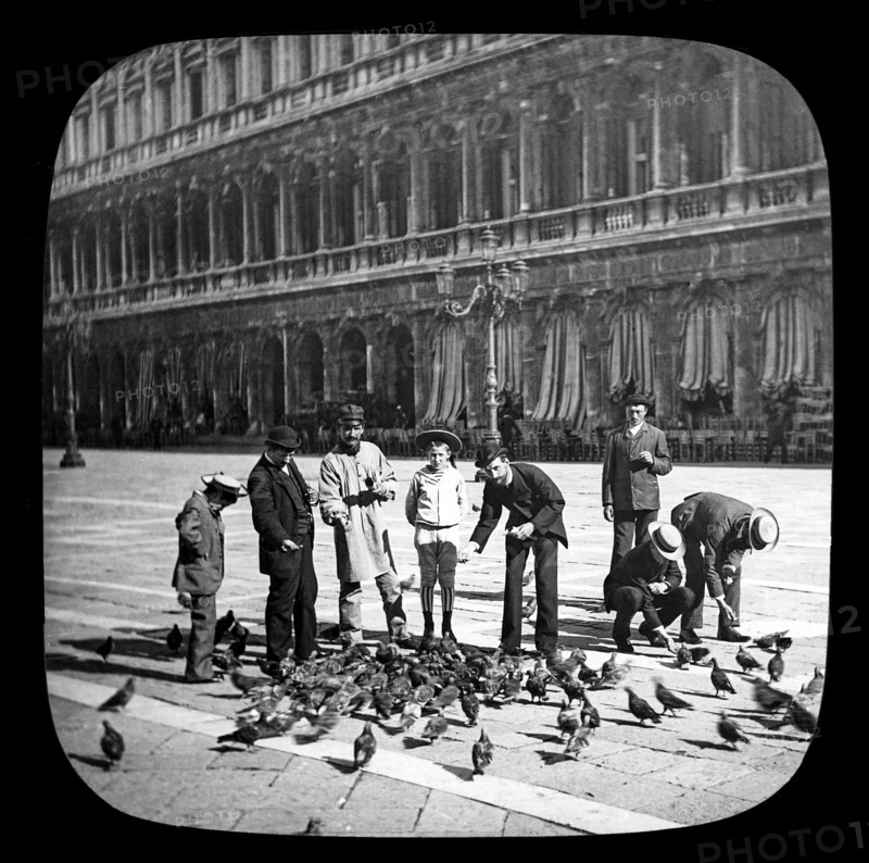 Feeding the pigeons in the Piazza of St. Mark's