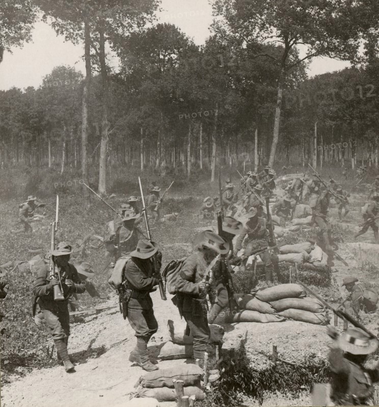 Stereoview WW1