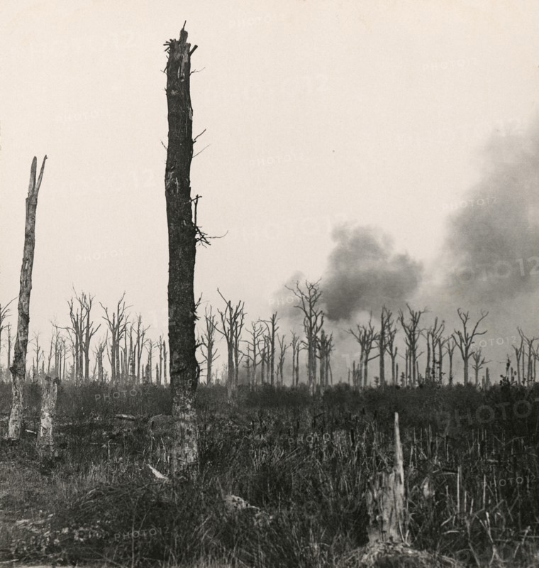 Stereoview WW1