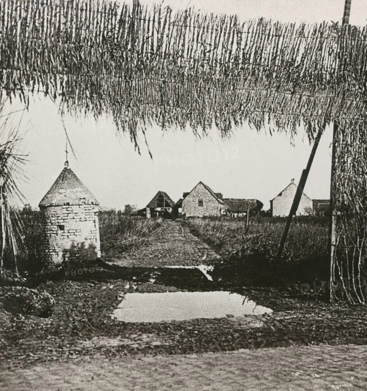 Stereoview WW1