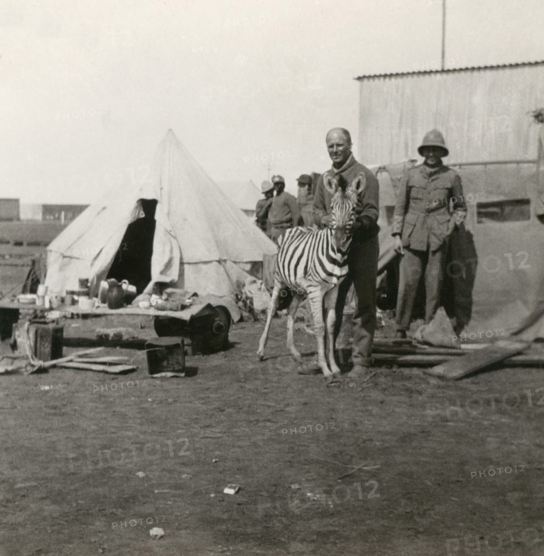 Stereoview WW1
