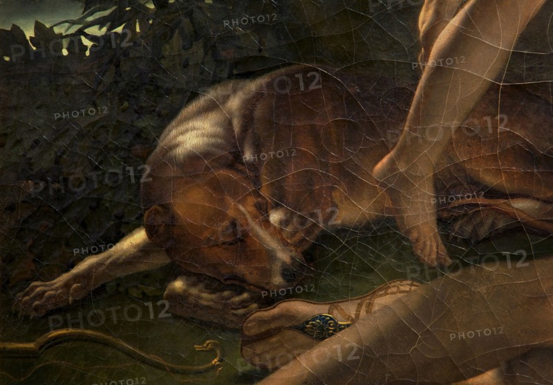 Le Sommeil d’Endymion