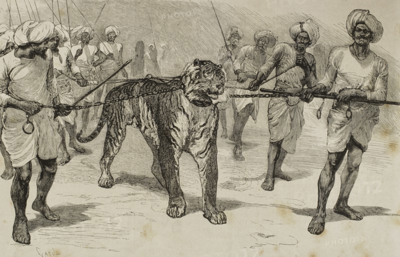 Journey of the Prince of Wales (1841-1910) to India