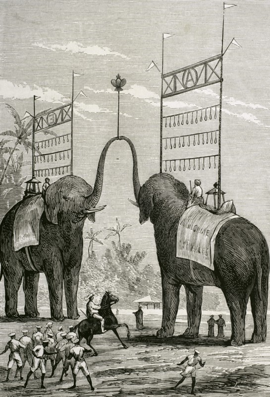 Journey of the Prince of Wales (1841-1910) to India