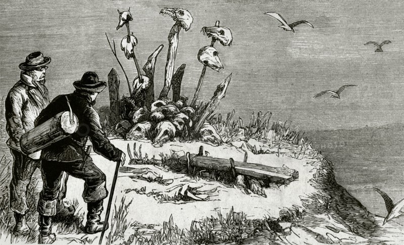 Swedish expedition to Arctic Pole