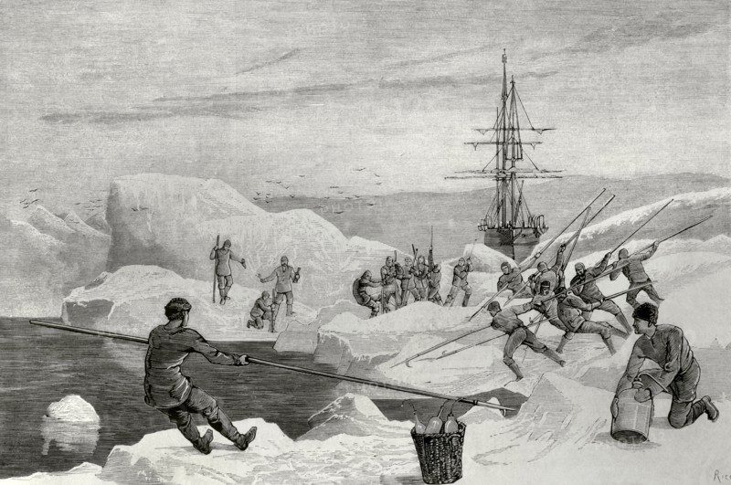 British Arctic Expedition of 1875-1876