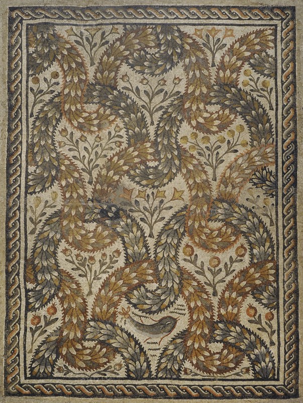 Plant mosaic