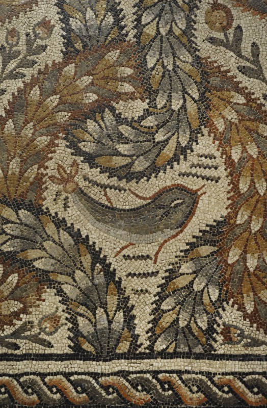 Plant mosaic