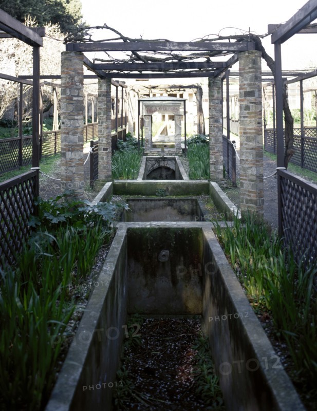House of Loreio Tiburtino (Octavius Quartio)
