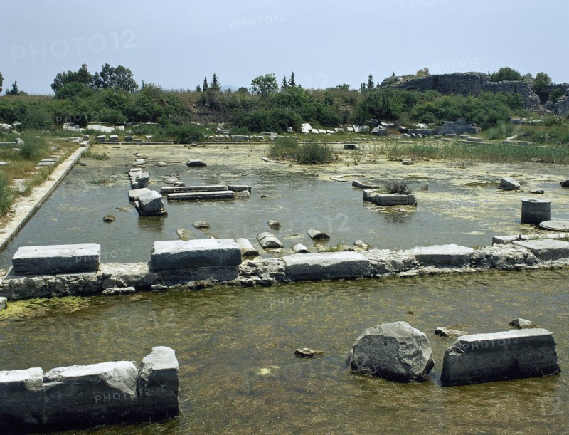 Miletus