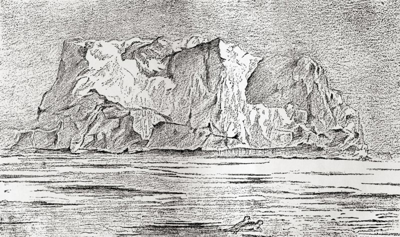 A floating iceberg