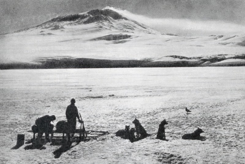 Dog sledge, showing Mount Erebus in the background,,