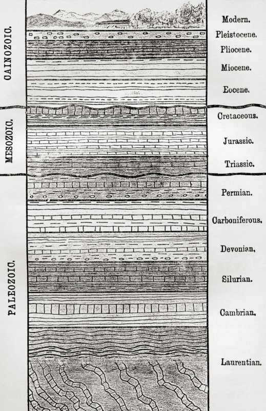 A chart of strata, layers of sedimentary rock or soil,,