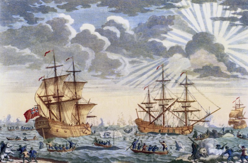 Greenland whale fishery in the 18th century