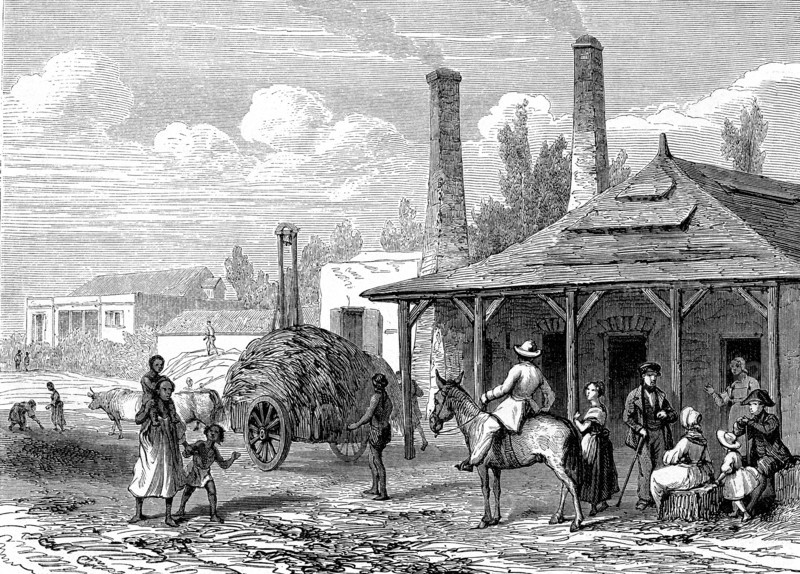 Sugar plant, in mauritius in 1863. le t du monde paris 1863 publisher 1863