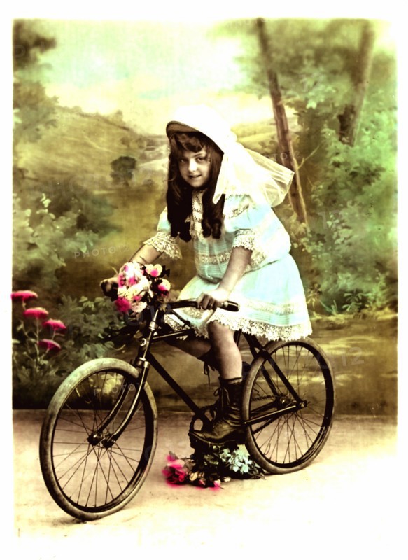 The bicycle