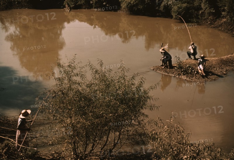 Negroes fishing in creek near cotton plantations outside Belzoni, Miss.
