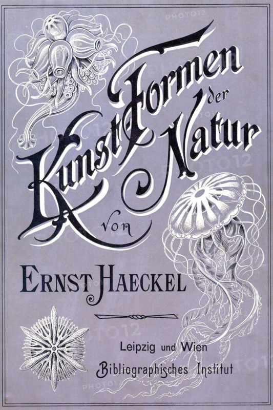 Kunstformen der Natur - Artforms in Nature Book Cover