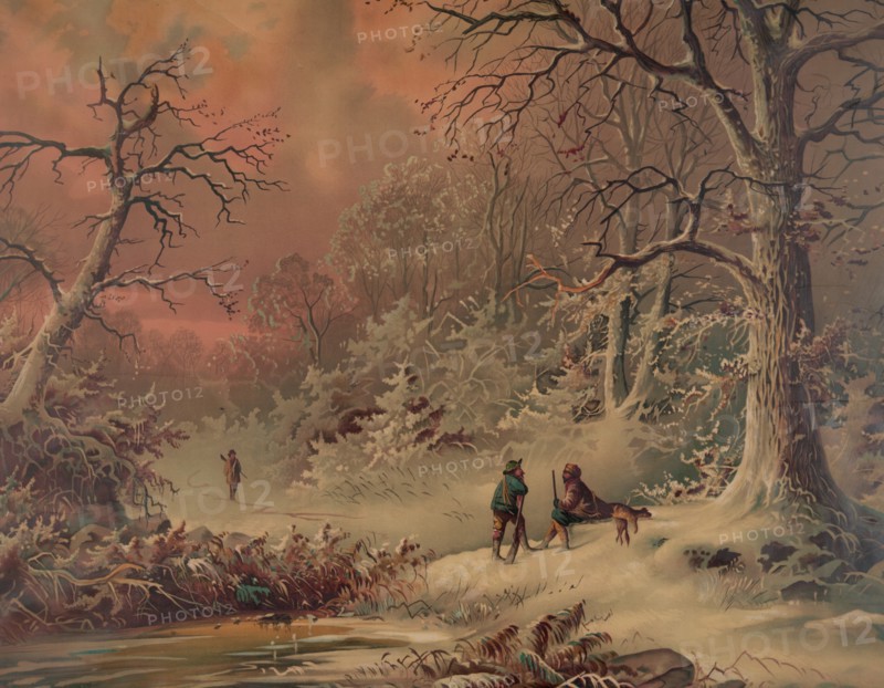 American Winter in the Woods
