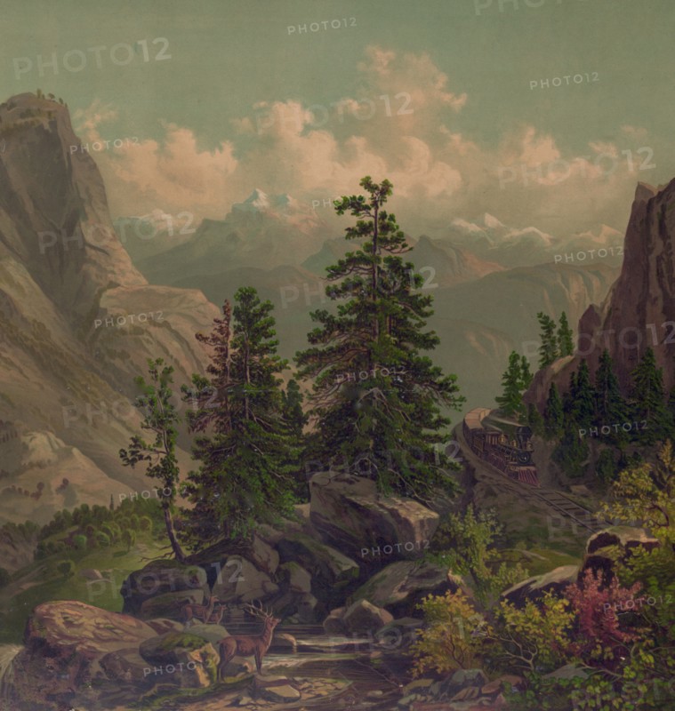 Across the Sierra Nevada's