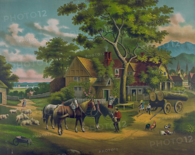 Home in the Country