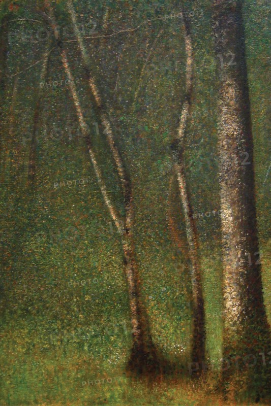 Forest at Pont Aubert