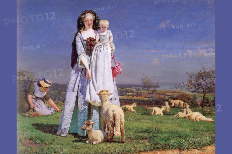 Pretty Baa Lambs
