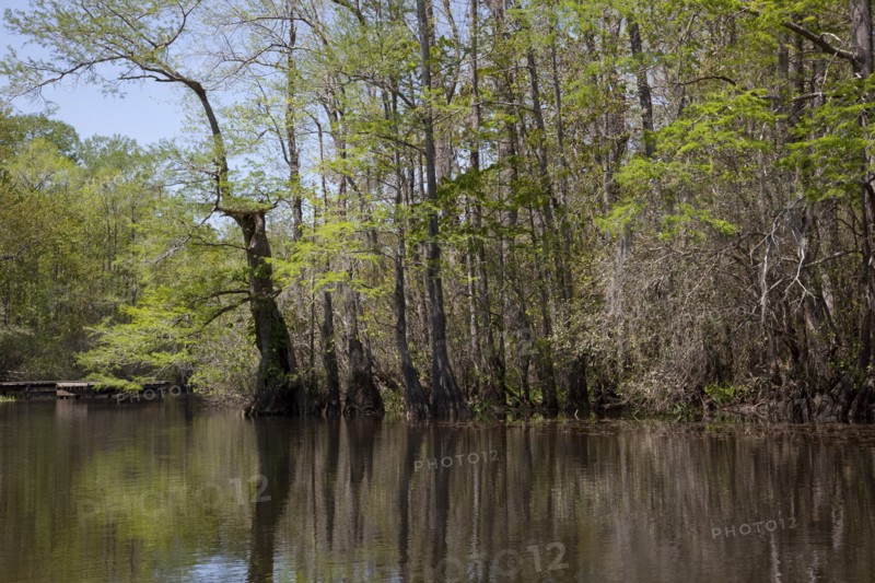 The Scenic Delta