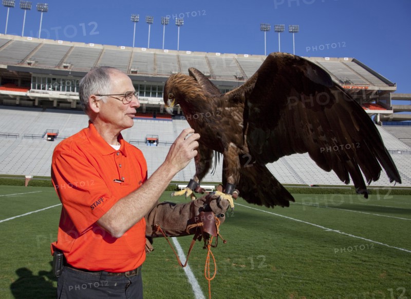 Auburn mascot Bald Eagle