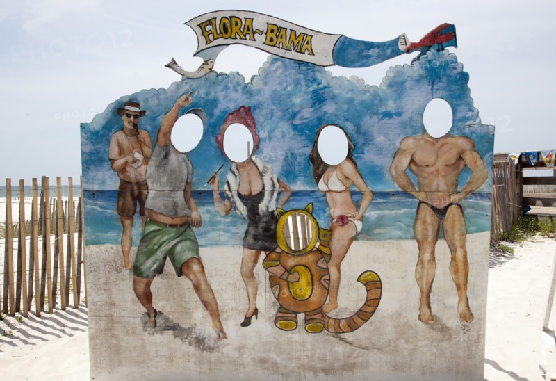 Photographer Beach Panel