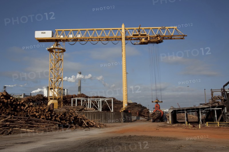 Crane Hoist Logs at Pulp Factory