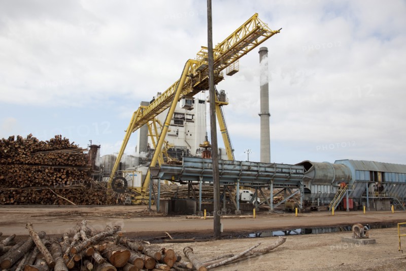 Crane Hoist Logs at Pulp Factory