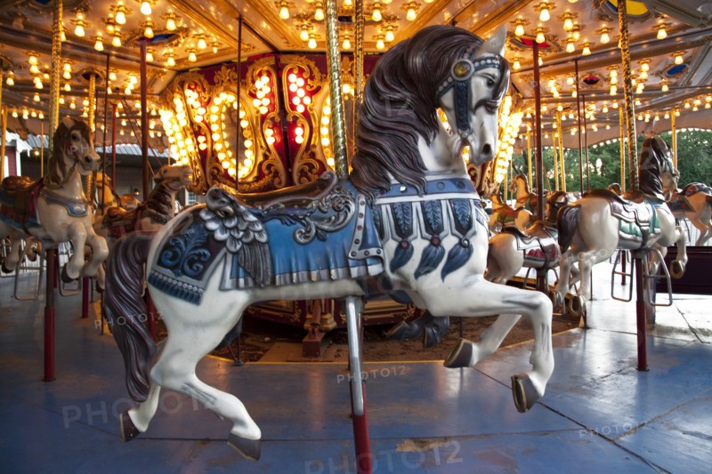 Carousel Horse