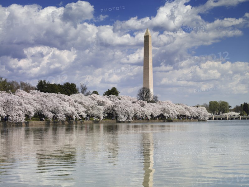Washington Monument & Tidal Basin
