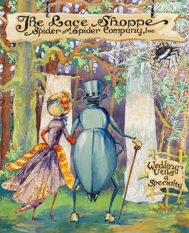 The Lace Shoppe