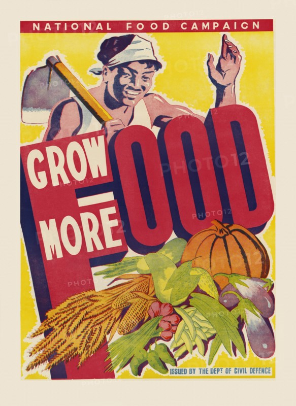 Grow More Food