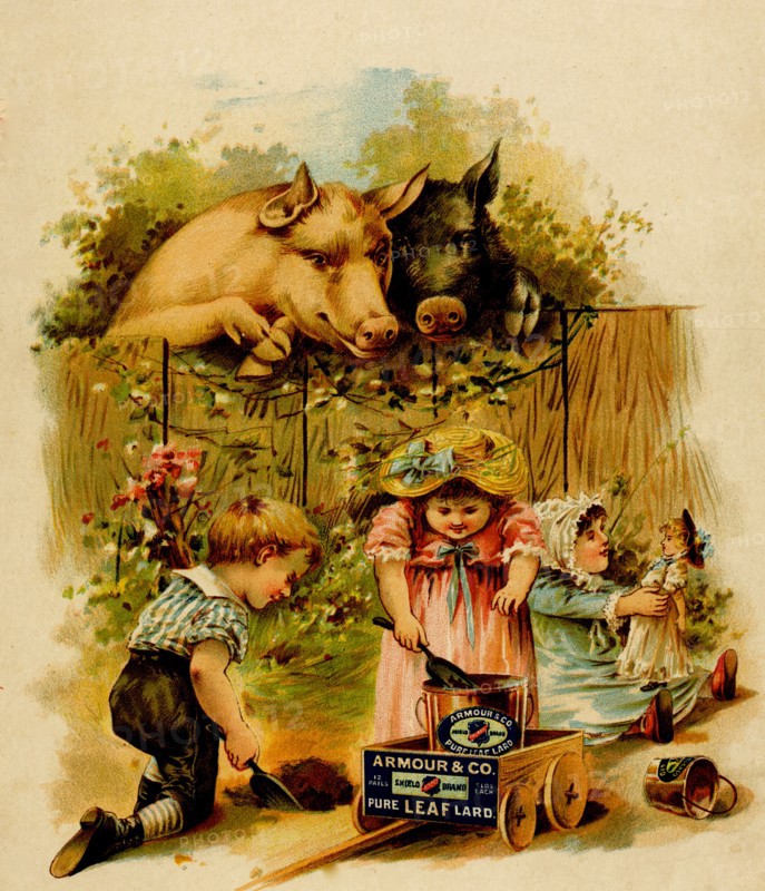 Pigs look over fence at children scooping earth in to a lard bucket