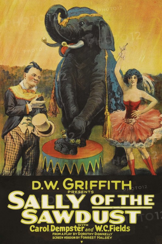 Sally of the Sawdust