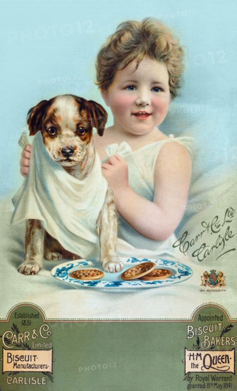 Carr & Co. Limited Biscuit Manufacturers