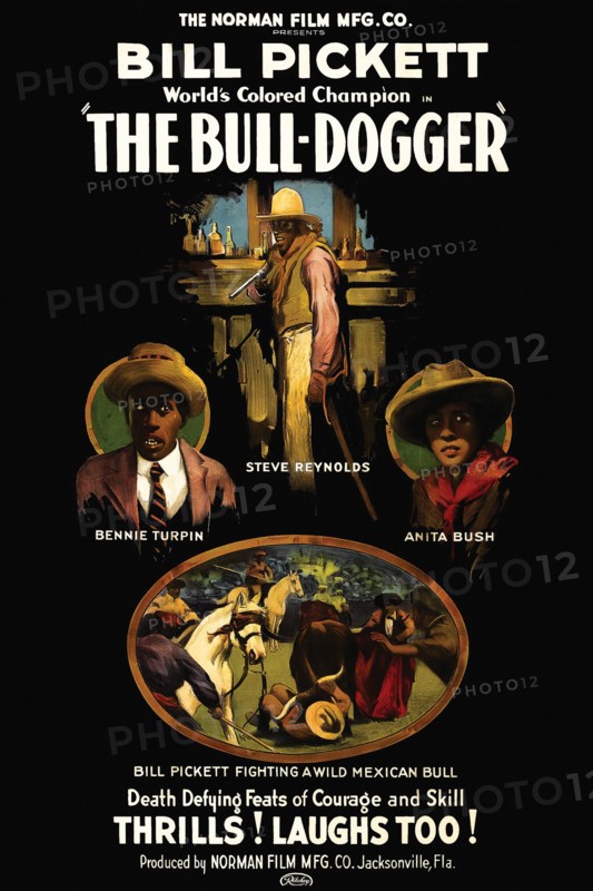 The Bull - Dogger