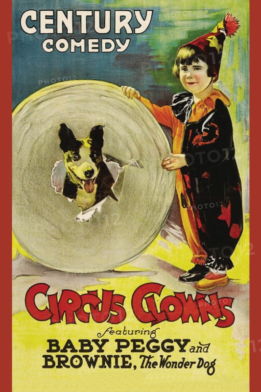 Circus Clowns