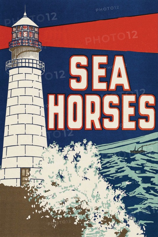 Sea Horses