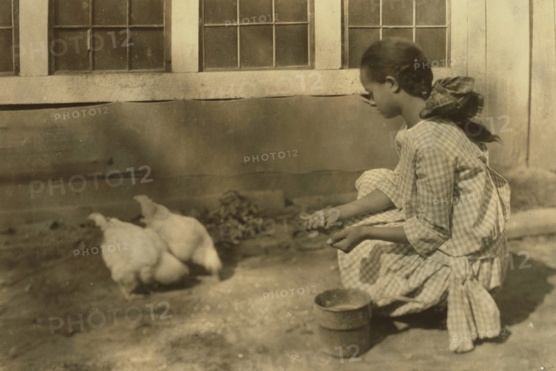 Alice Cooper and her poultry.