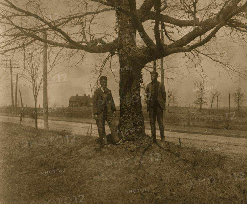 Two African American men standing next to a tree in Georgia