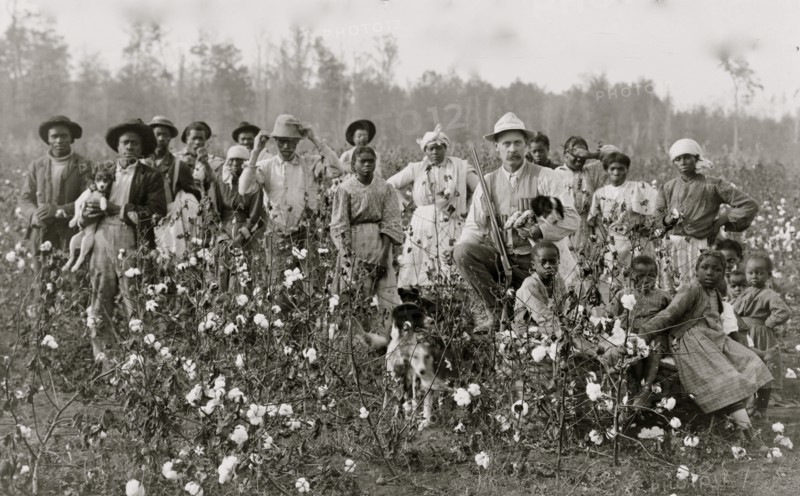 The cotton planter and his pickers