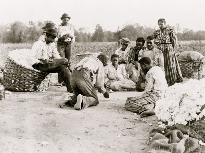 African Americans resting and shooting dice at edge of cotton field
