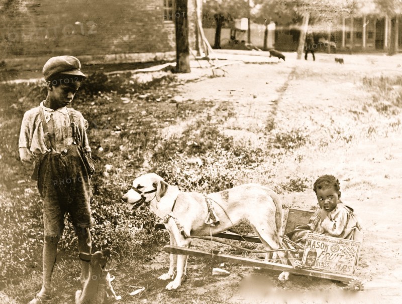 Putting on the Dog
